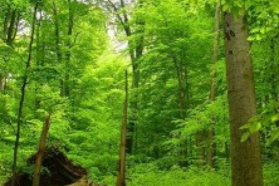 2. fotografia fotogalérie Galéria - úvod