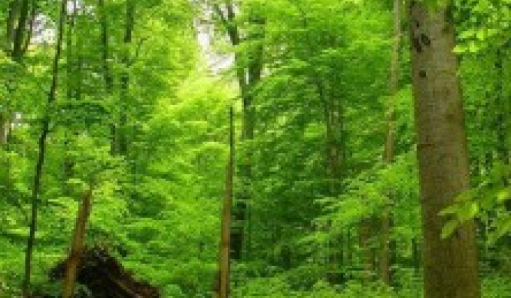 2. fotografia fotogalérie Naša obec