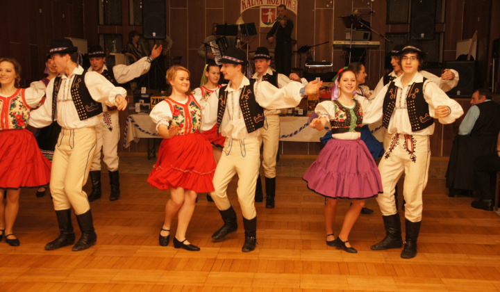 1. fotografia fotogalérie Ples 2012