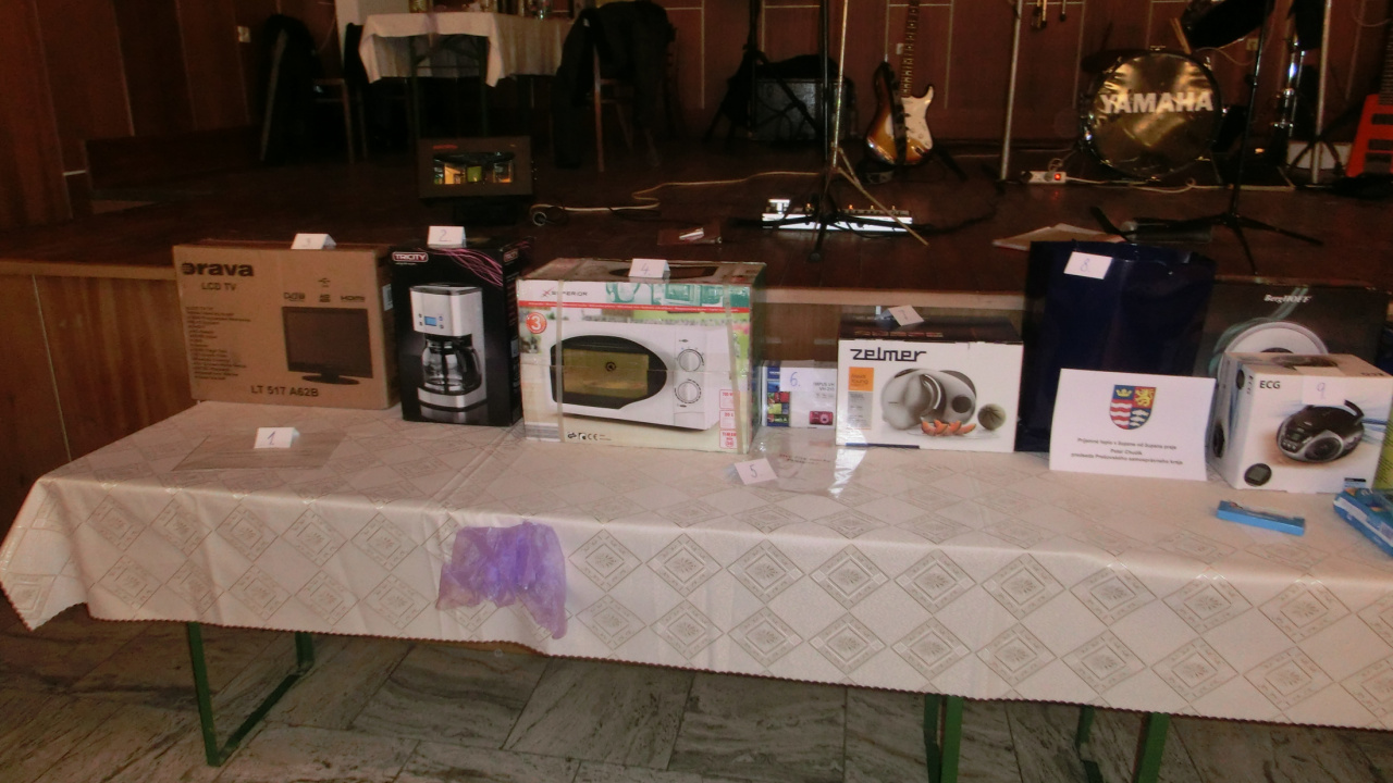 Fotografia fotogalérie Ples 2013