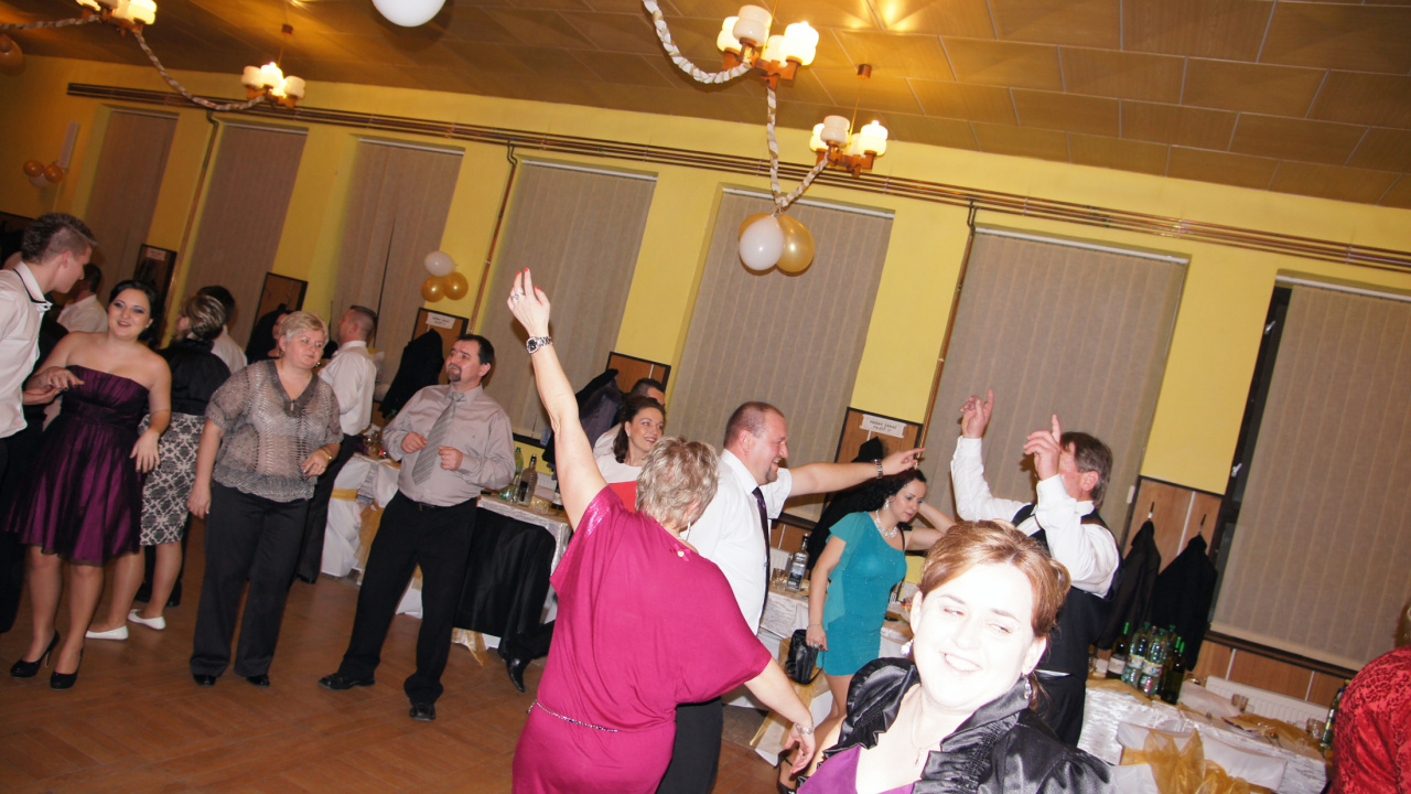 Fotografia fotogalérie Ples 2014