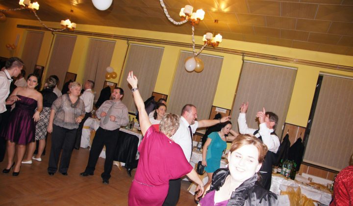 1. fotografia fotogalérie Ples 2014