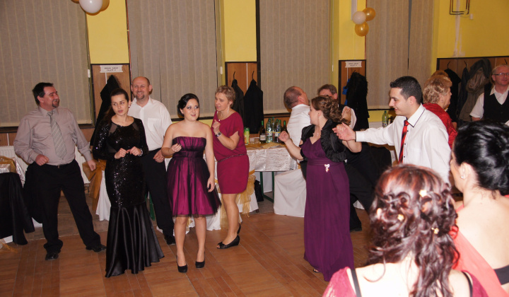 10. fotografia fotogalérie Ples 2014