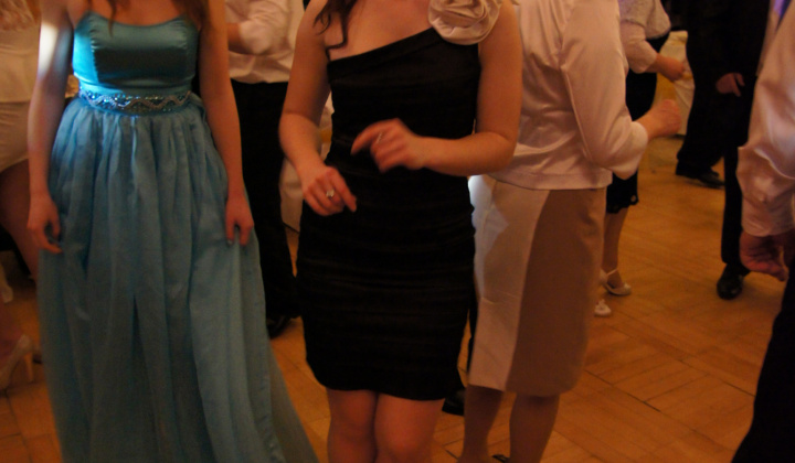 12. fotografia fotogalérie Ples 2014