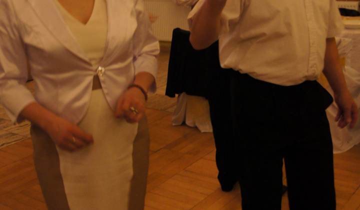 15. fotografia fotogalérie Ples 2014