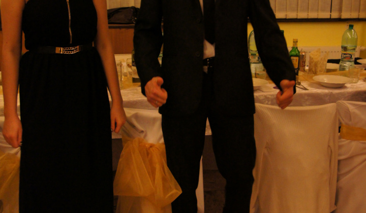 18. fotografia fotogalérie Ples 2014