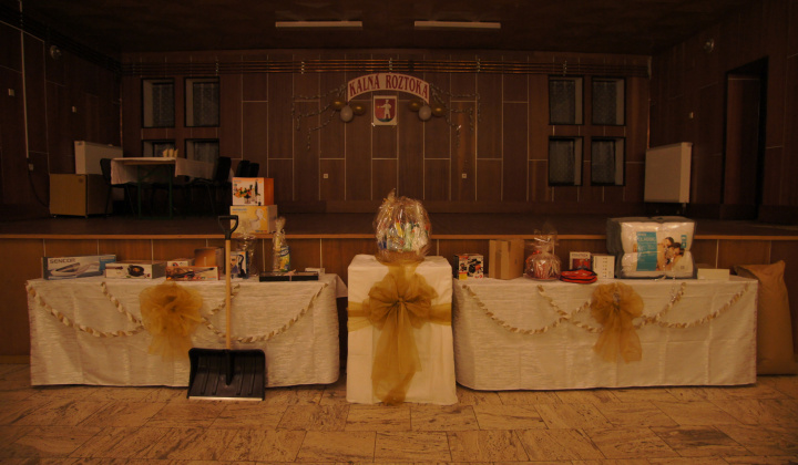 23. fotografia fotogalérie Ples 2014