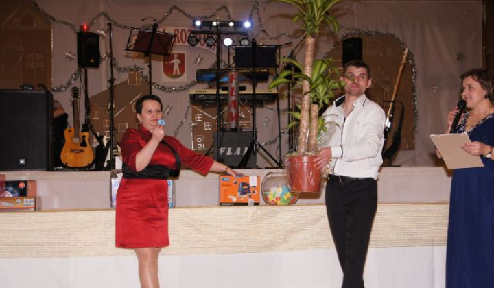 1. fotografia fotogalérie Ples 2016