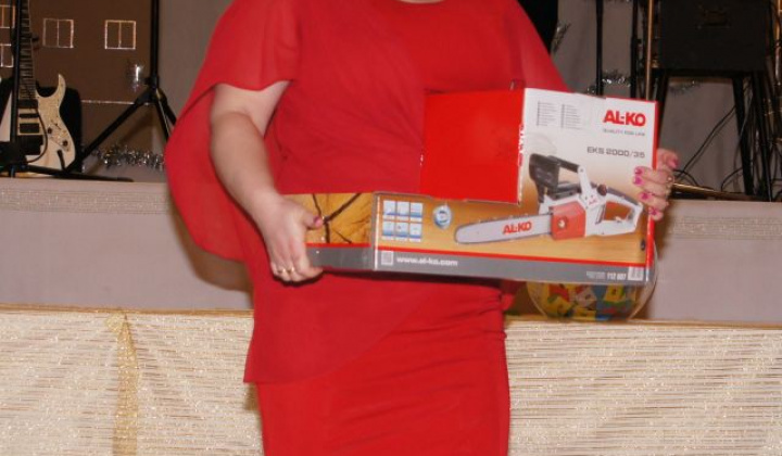 6. fotografia fotogalérie Ples 2016