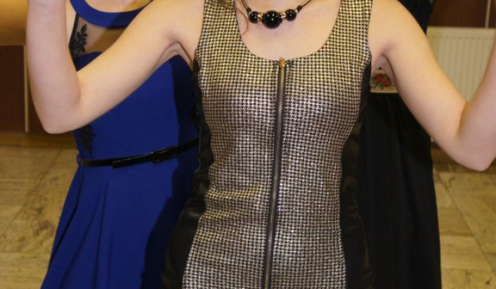 20. fotografia fotogalérie Ples 2016